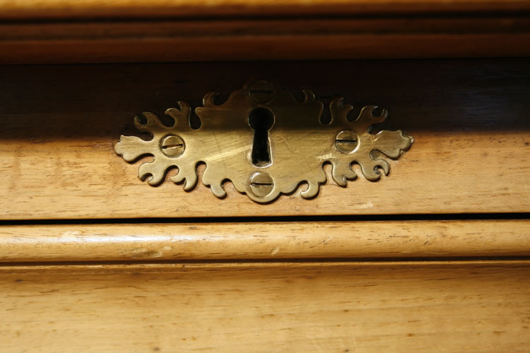 ornate keyhole escutcheon