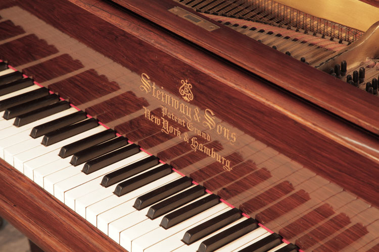 Steinway piano manufacturers logo inlaid on fall