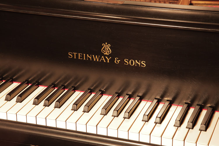 Steinway piano manufacturers logo on fall