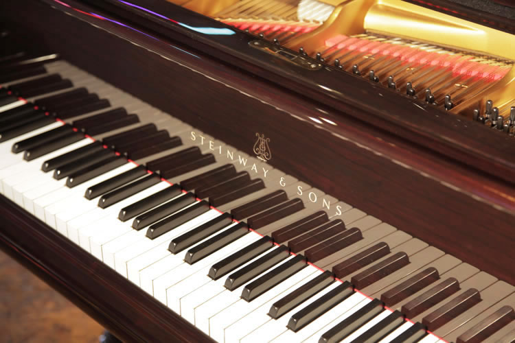 Steinway Model D manufacturers name on fall