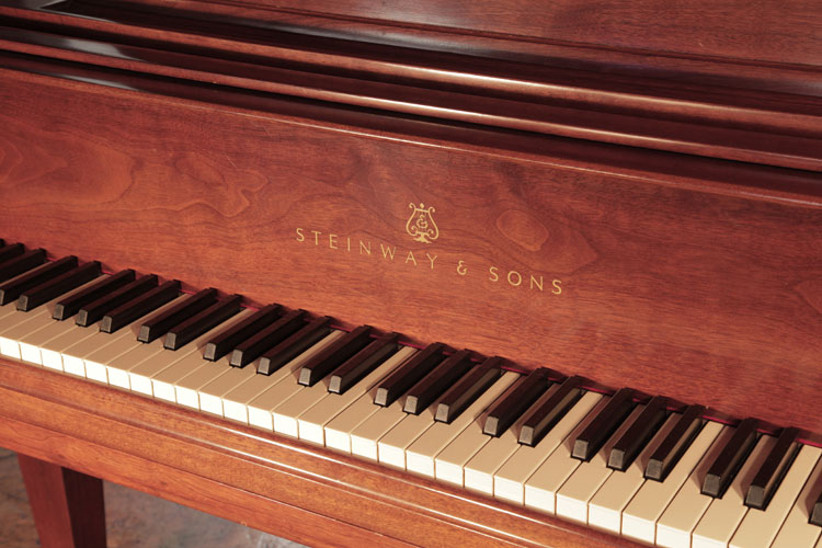 Steinway piano manufacturers logo on fall
