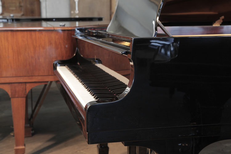 	
Steinway piano cheek detail