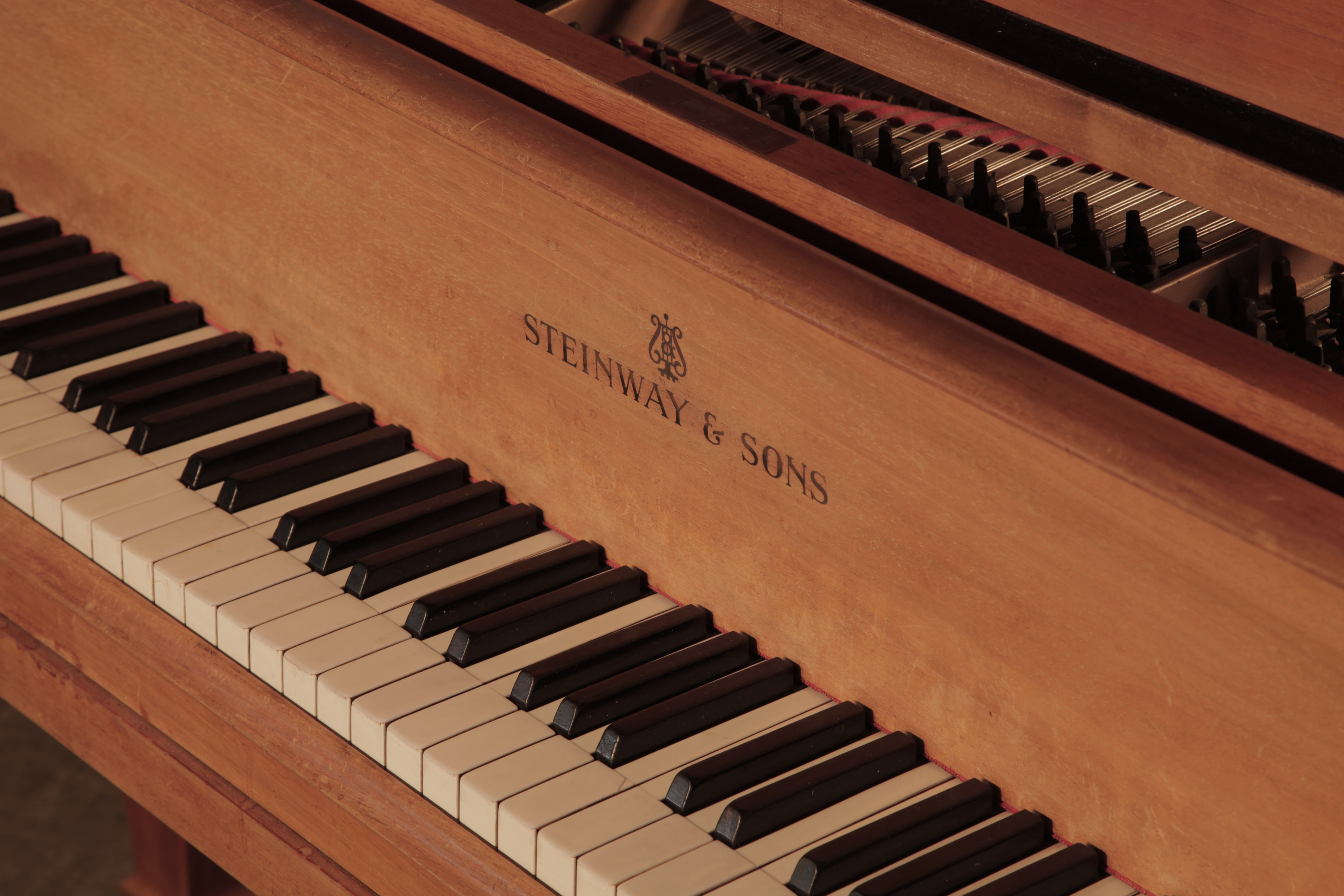 	Steinway piano manufacturers logo on fall