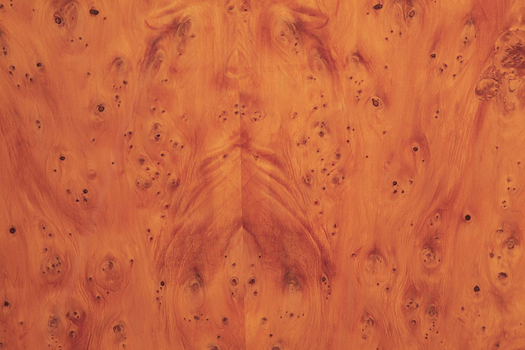 Exquisite yew wood grain