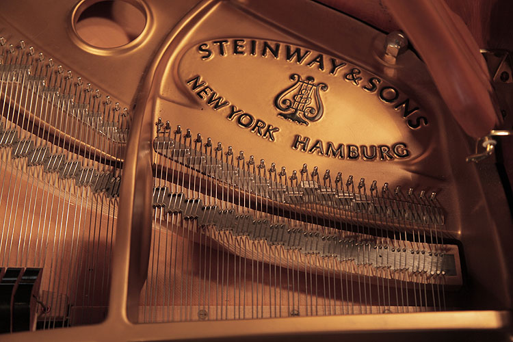 Steinway instrument