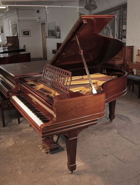 Antique, 1900, Steinway Model A grand piano with a polished, rosewood case and spade legs.