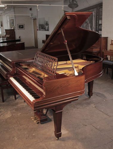 Golden Age of Pianos. Antique, 1900, Steinway Model A grand piano with a polished, rosewood case and spade legs