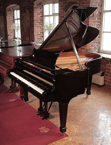 The Golden Age of Pianos. Rebuilt, 1969, Steinway Model O grand piano with a black case and spade legs